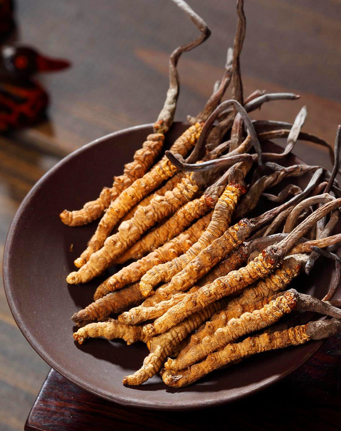 夏草的功效与作用和图片 SZYY-SZY10004-2.jpg