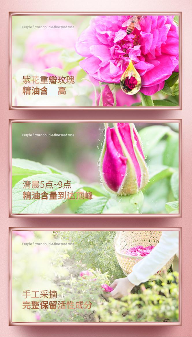法兰琳卡玫瑰花苞水(水润型)160ml 爽肤水护肤润肤水