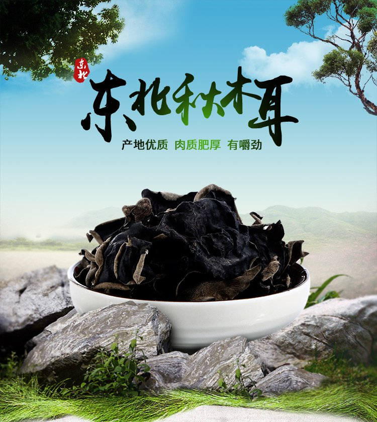 东北秋木耳150g 东北原产地头茬木耳 无根 易泡发