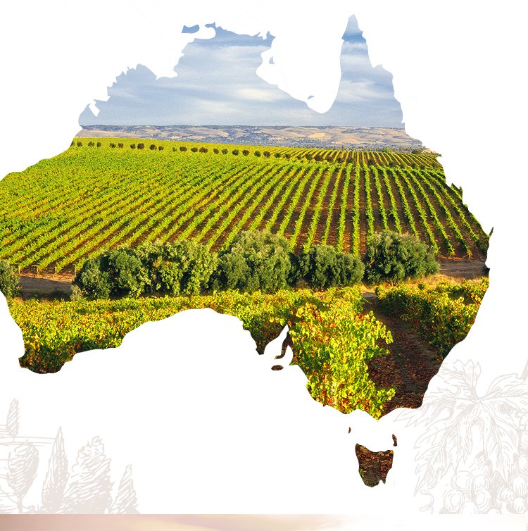 澳洲Beelgara贝佳拉 酒庄系列赤霞珠红葡萄酒