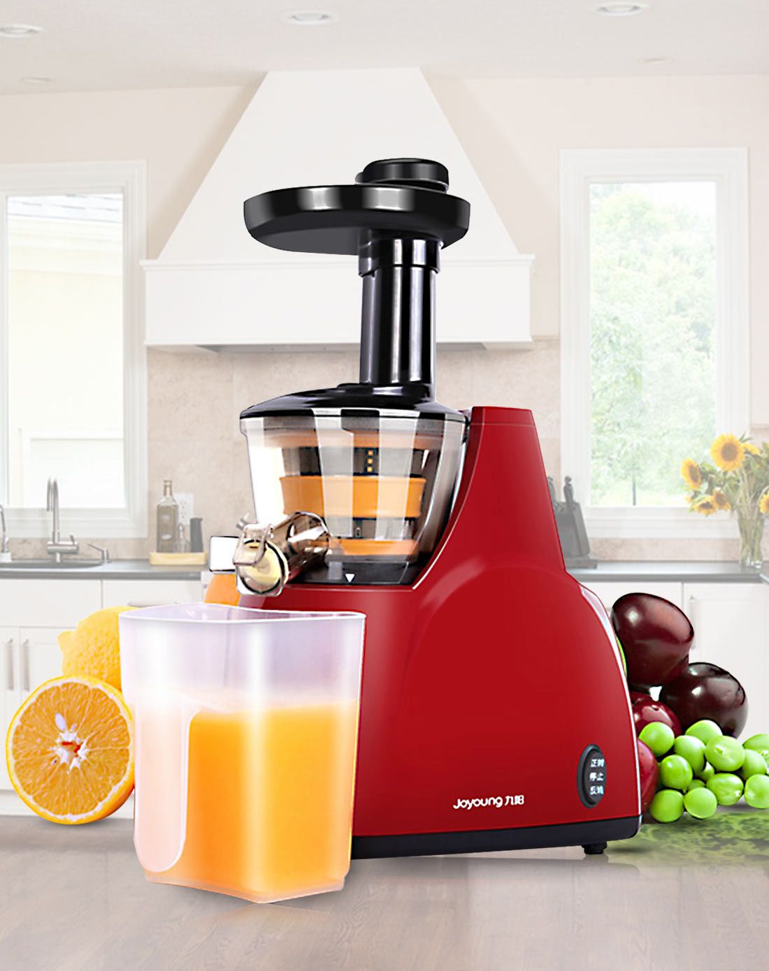 九阳 倍多汁系列榨汁机 JYZ-E9小组,九阳 倍多