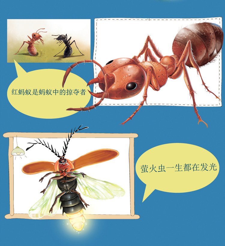 小牛顿科普启蒙绘本法布尔昆虫记全套8册