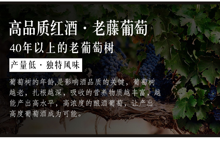 法国精选15度红酒 原瓶原装进口老藤干红葡萄酒整箱6支装送酒具