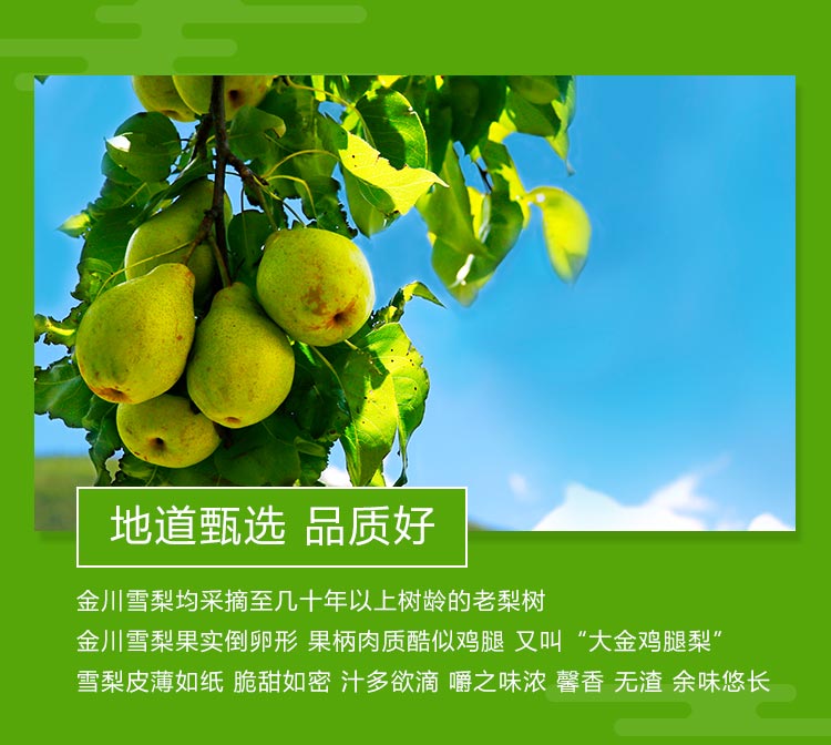 唯爱助农金川雪梨膏全家适用慈梨膏宝宝可食用秋梨膏480g组合