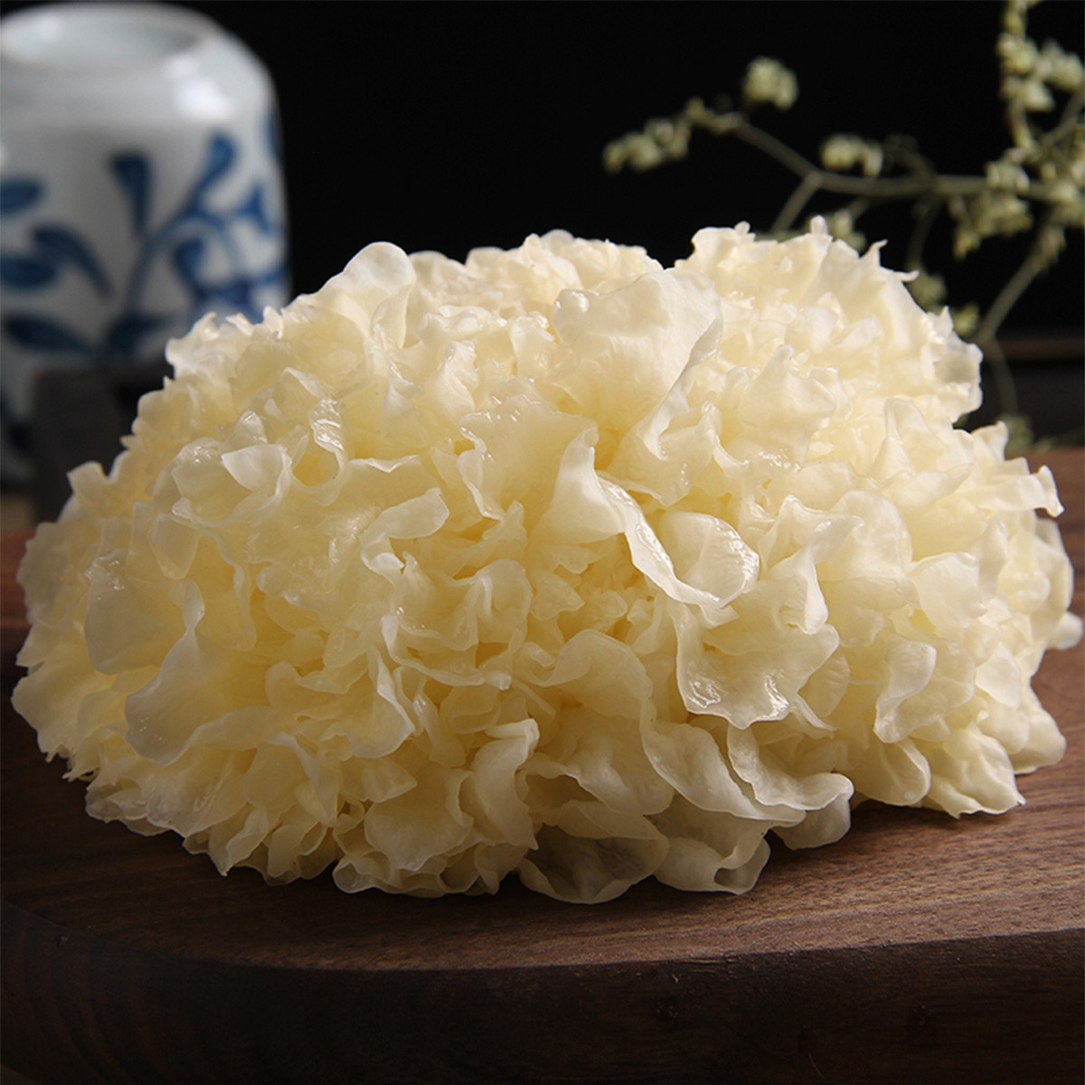 美人故里| 古松新鲜银耳白木耳鲜活雪耳活耳非干货古田银耳6朵 包邮