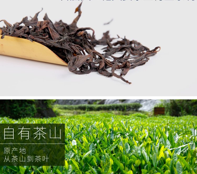 大红袍茶叶岩茶肉桂水仙茶老枞水仙兰贵人奇兰组合试喝装