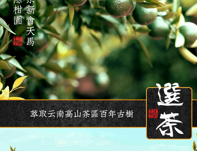 小青柑普洱茶宫廷普洱熟茶新会陈皮普洱茶小柑橘桔普茶礼盒装茶叶50g