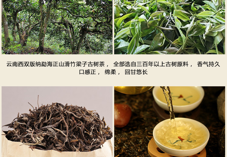 云南普洱茶生茶勐海正山滑竹梁子古树茶 d普洱茶散装