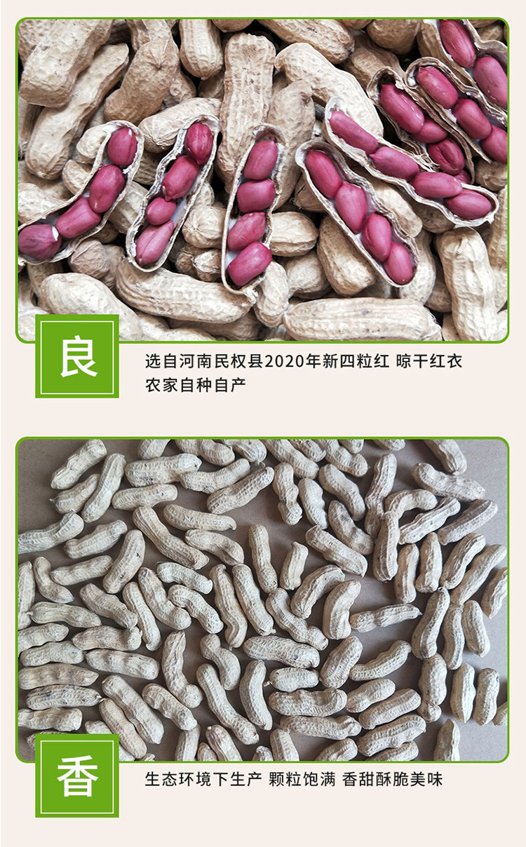 【1斤装】长领生花生带壳四粒红500g红皮新花生果河南特产鲜花生