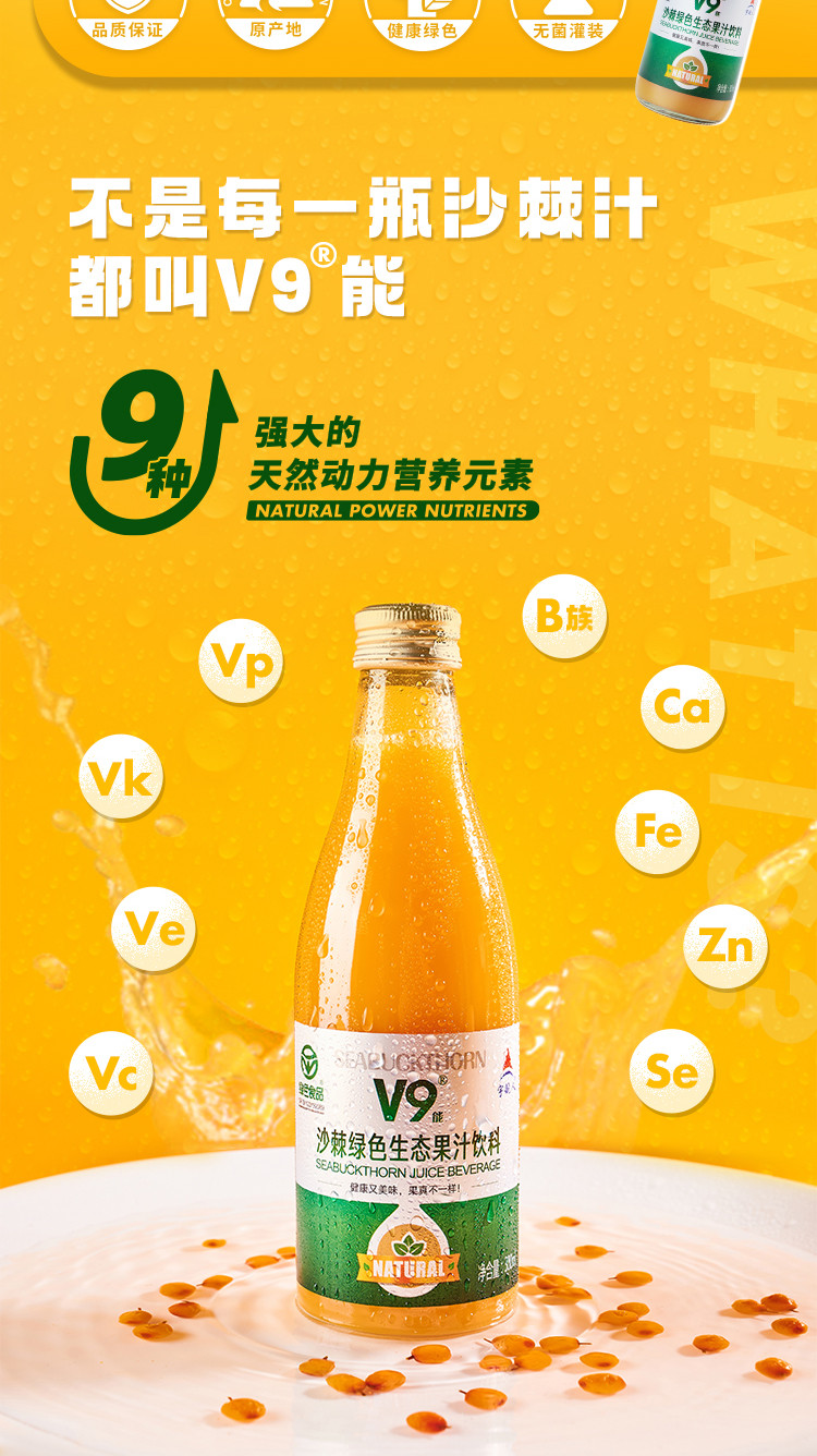 宇航人 沙棘绿色生态果汁饮料 内蒙古特产 300ml*6瓶