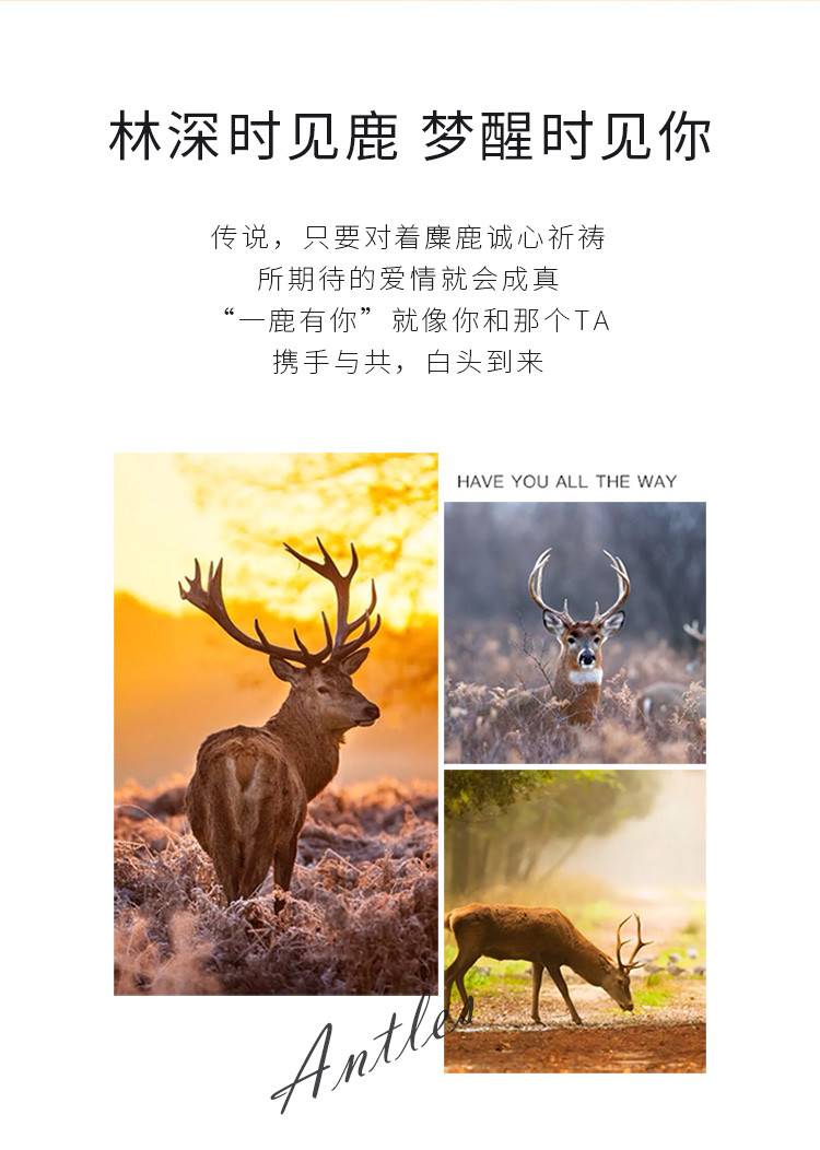 【520礼物】纯银锁骨链一鹿有你项链时尚百搭饰品925银颈链