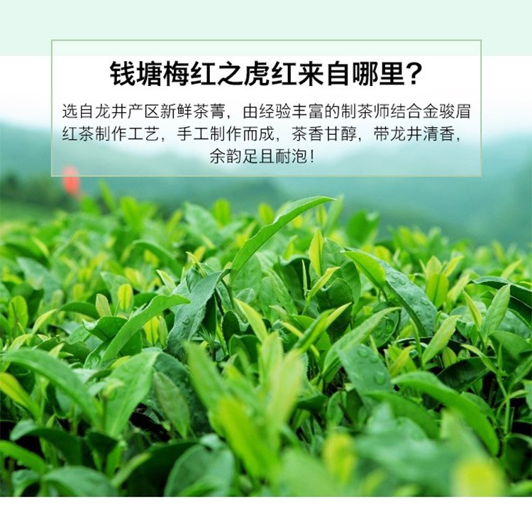 钱塘梅红一级虎红西湖龙井茶叶原叶制作红茶罐装100g