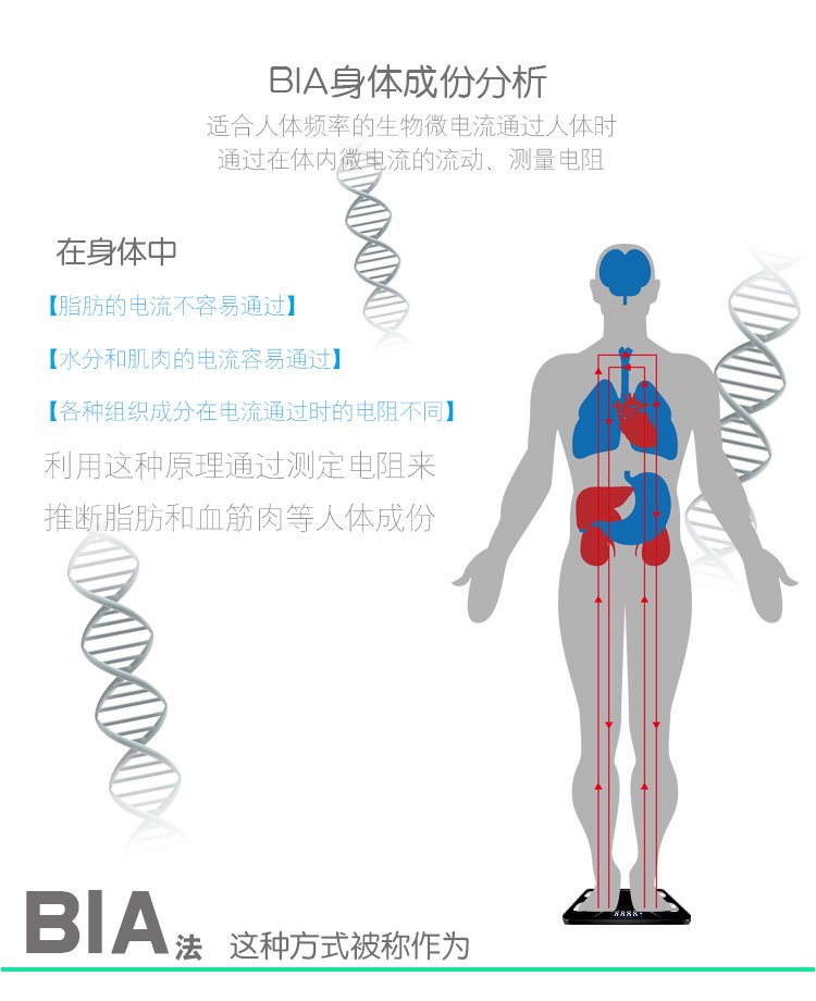 体重秤体脂称通用 中文显示屏脂肪秤 人体成份分析智能家用健康秤