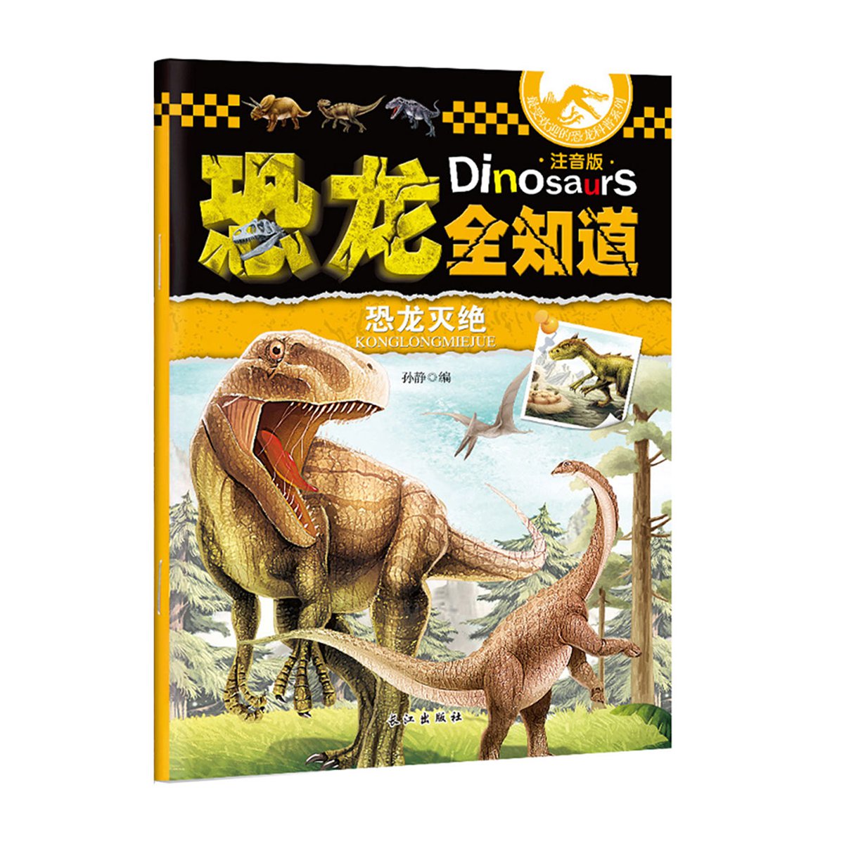 6-12岁 彩图注音版 恐龙百科全书 全12册