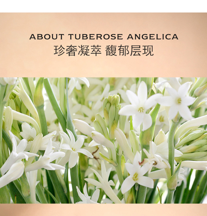 祖玛珑 jo malone 晚香玉与天使草香水50ml