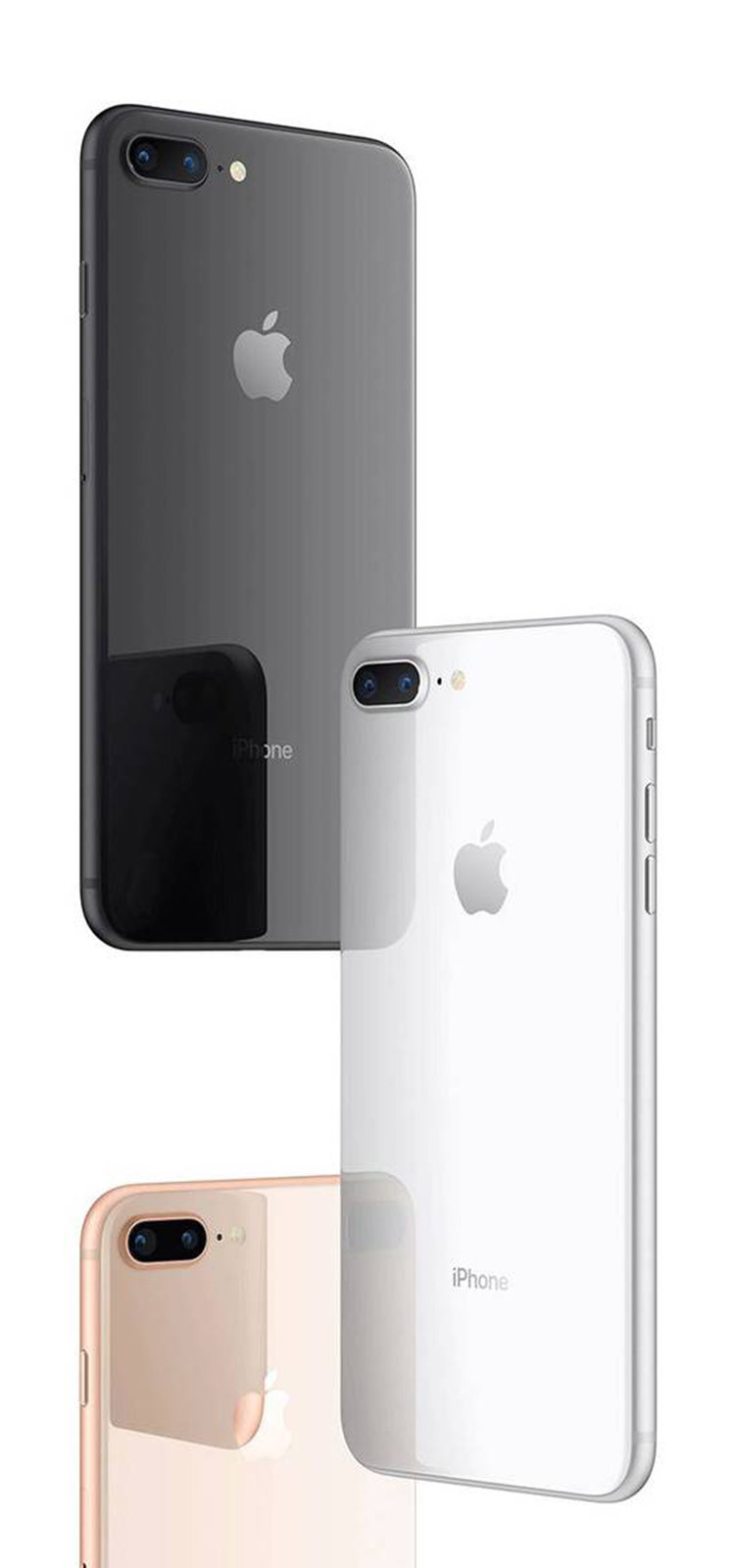 iphone8 64g 金色 全网通 手机  品牌名称: 苹果 商品名称: iphone8