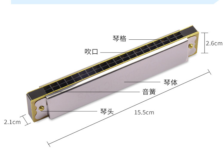 荷兰品牌20孔c调口琴 入门初学乐器 儿童玩具圣诞礼物