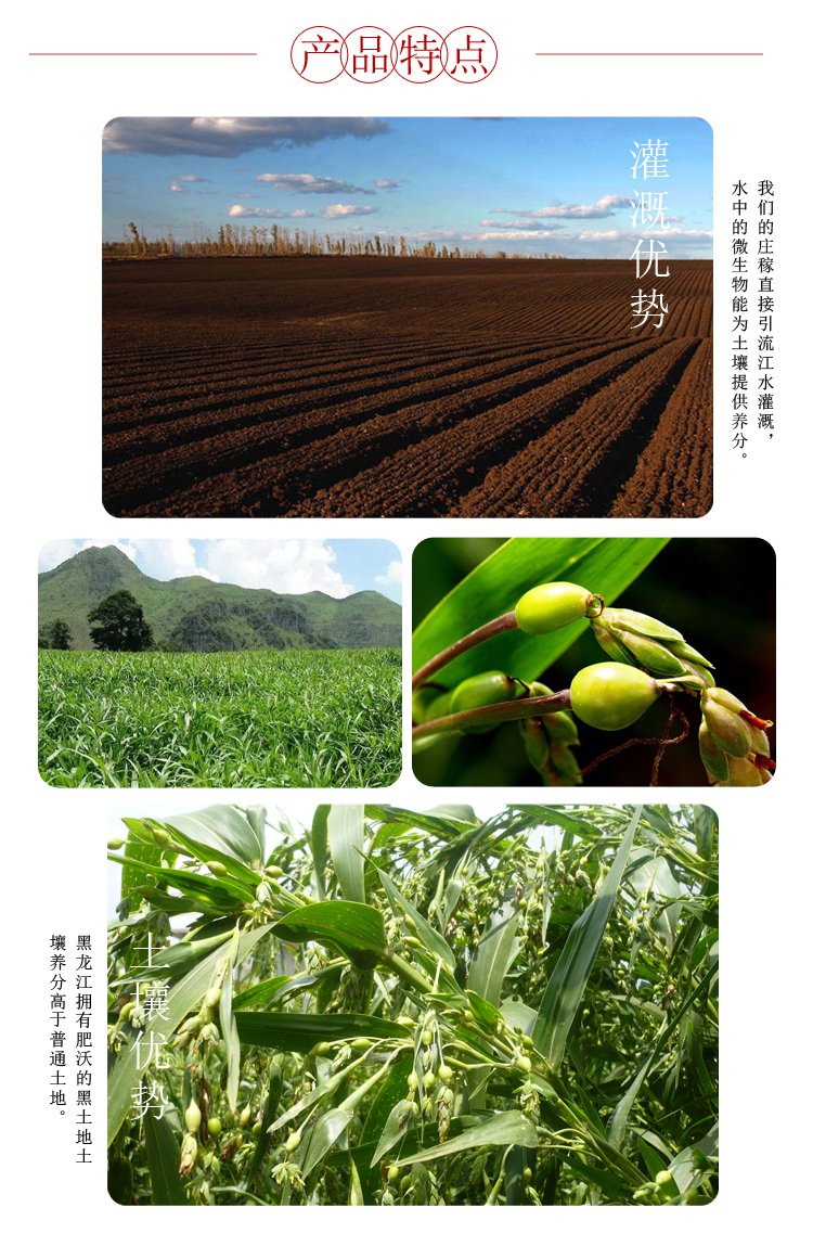 薏米  商品参数 detail 品牌名称: 稻香社 商品名称: 薏米 产地