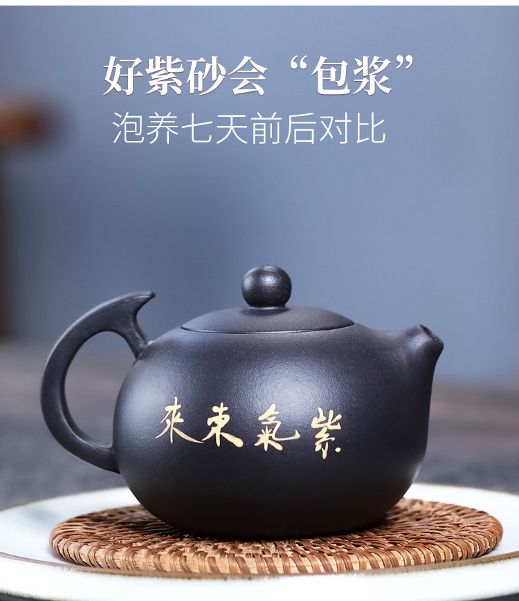 宜兴紫砂顾清作品黑泥环把西施壶手工家用泡茶壶养生