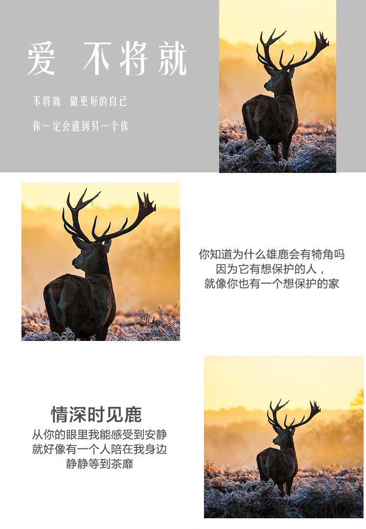 一鹿有你北欧现代横幅客厅沙发背景墙壁画卧室挂画餐厅书房装饰画