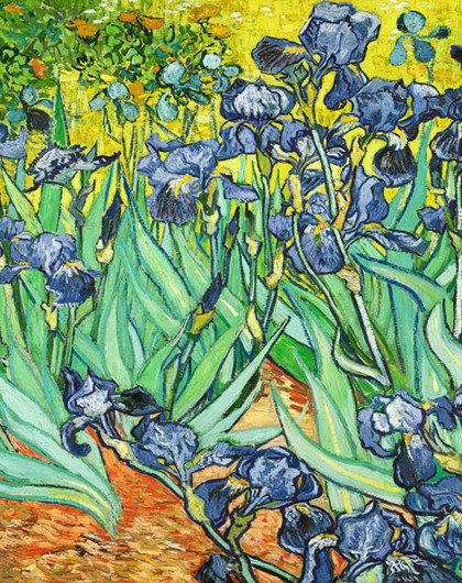 柠檬树家居装饰专场奢华世界名画 梵高鸢尾花WPK7-02_唯品会