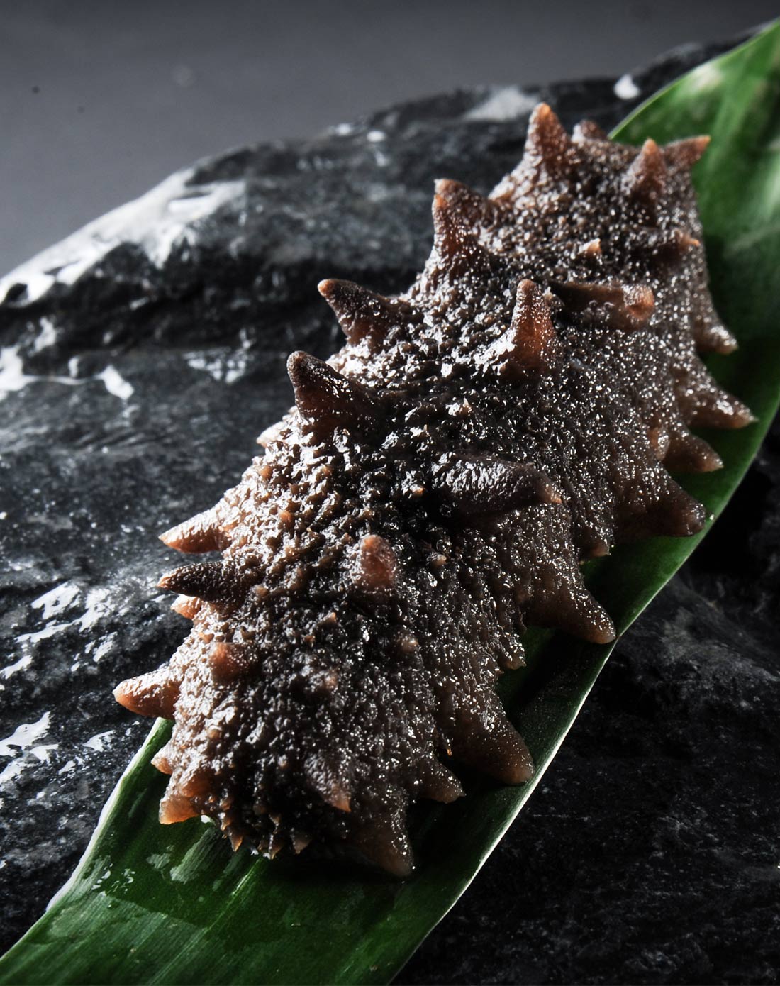 东泽大连海参鲍鱼专场北纬39度海域祥品野生纯淡干参20gsg-0007_唯品