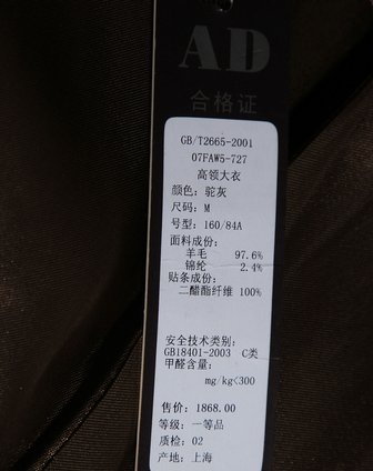 浅驼灰色斯文淑女长袖羊毛大衣