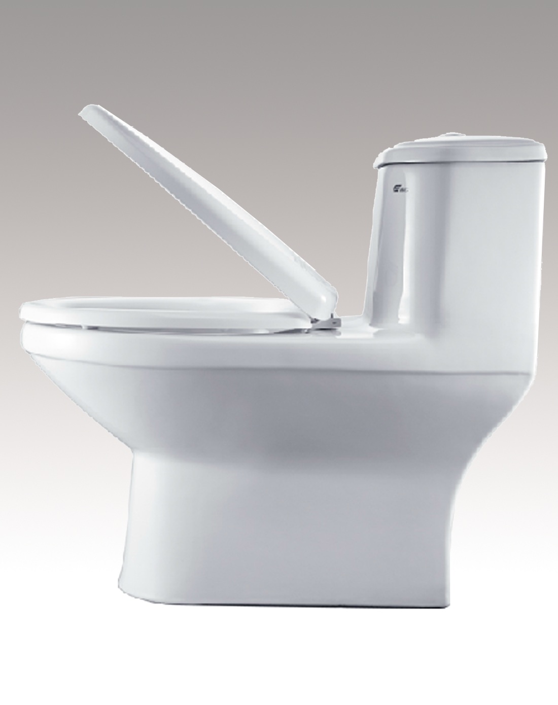 66系列经典节水型连体坐便器(305mm)