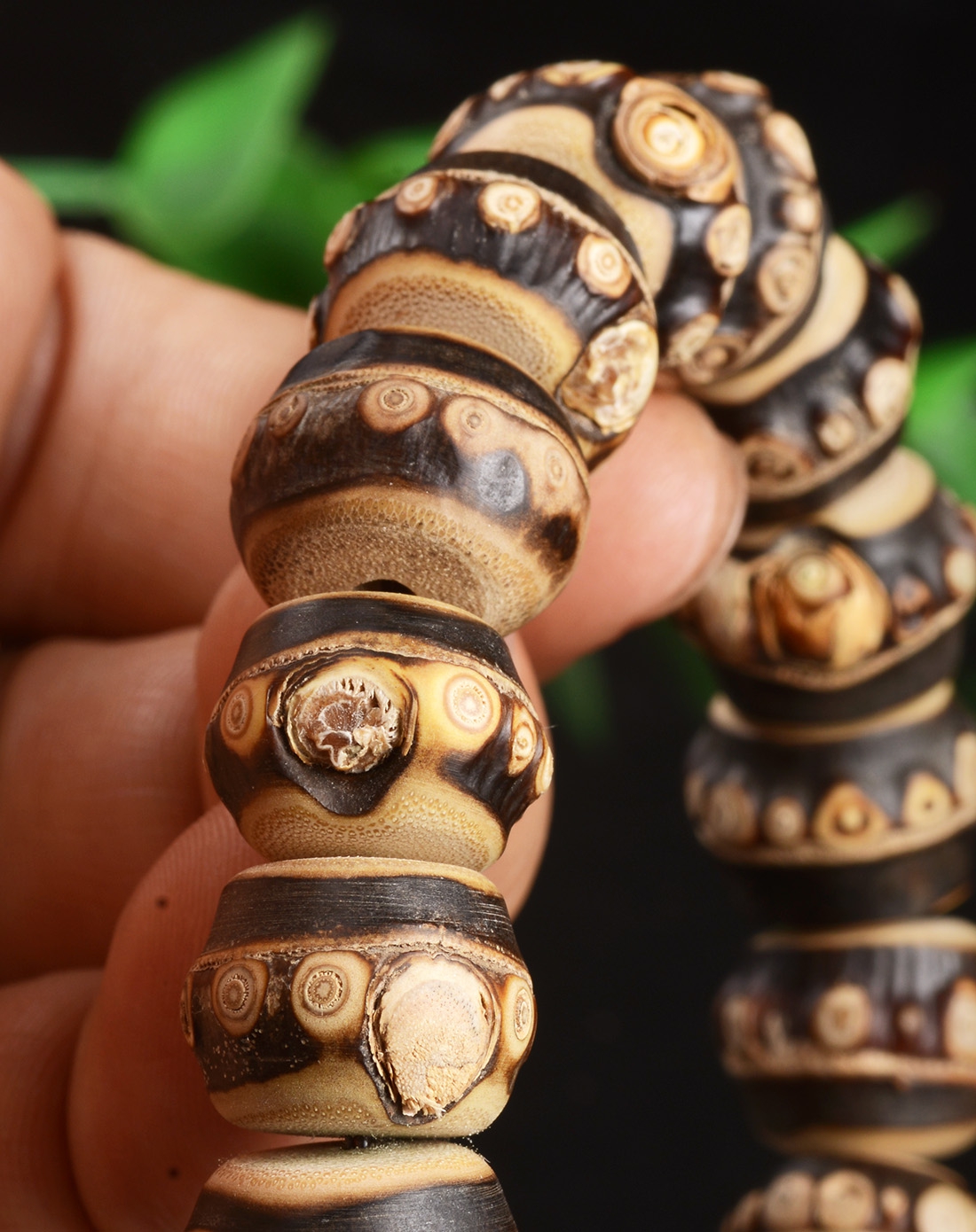 路路通财!精选天然紫竹根原生态筒形手链