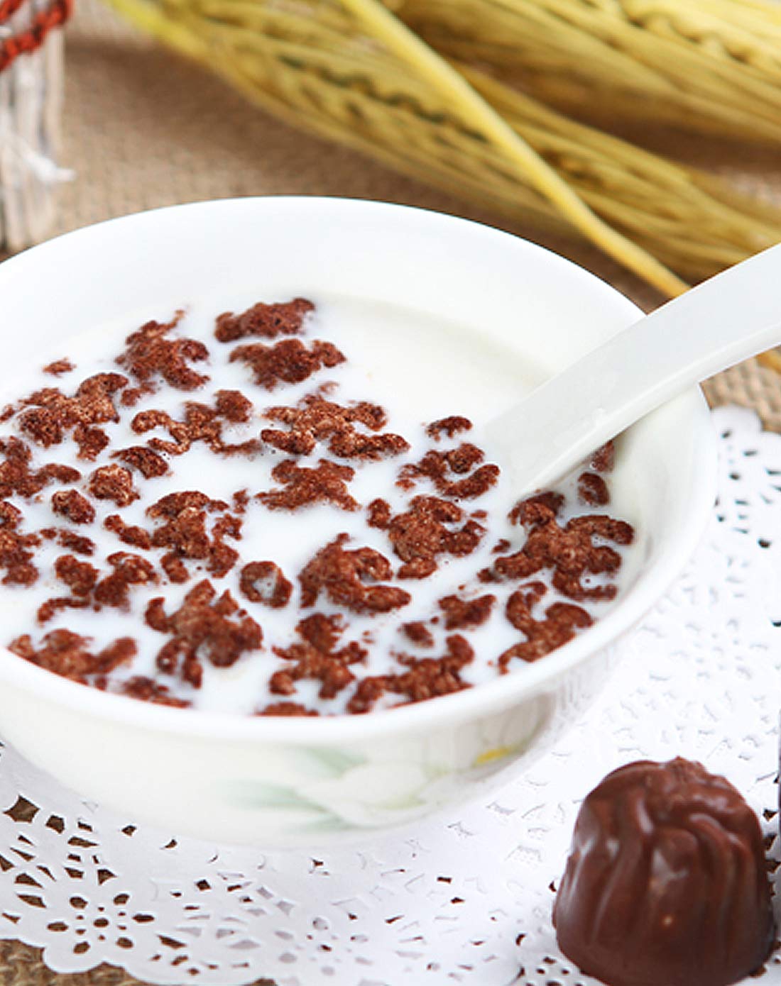 屋臣牌牛奶巧克力麦片375g送金祥麟即溶麦片300g