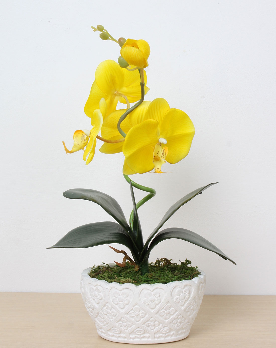 小蝴蝶兰盆栽-黄色花