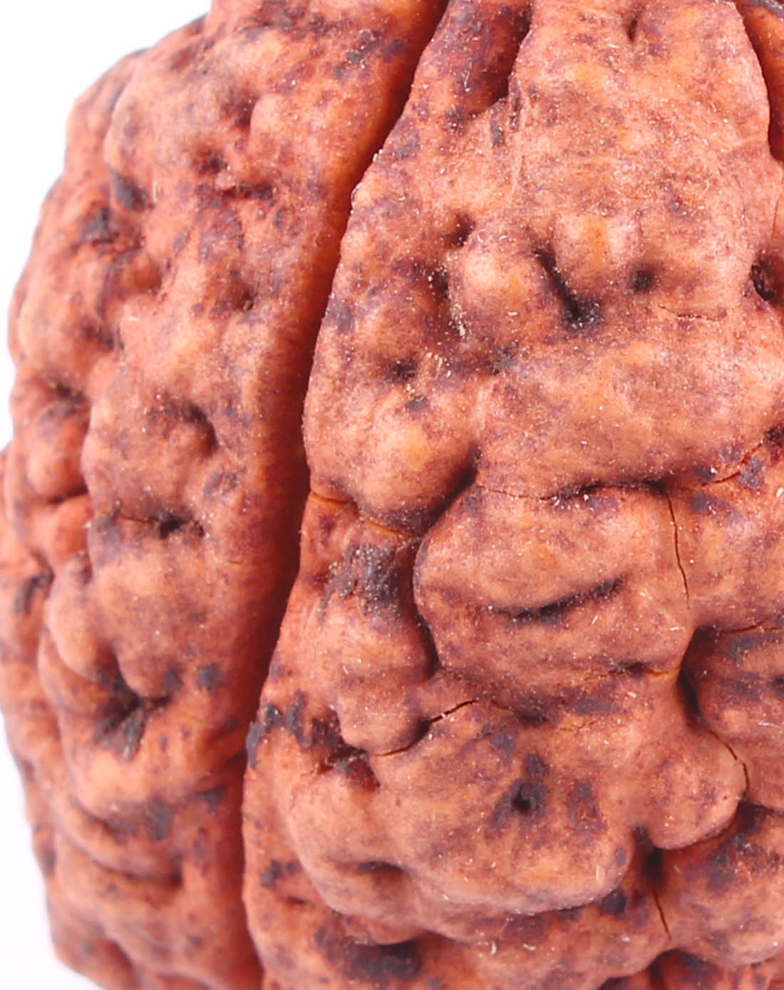 天然三瓣大金刚把玩件