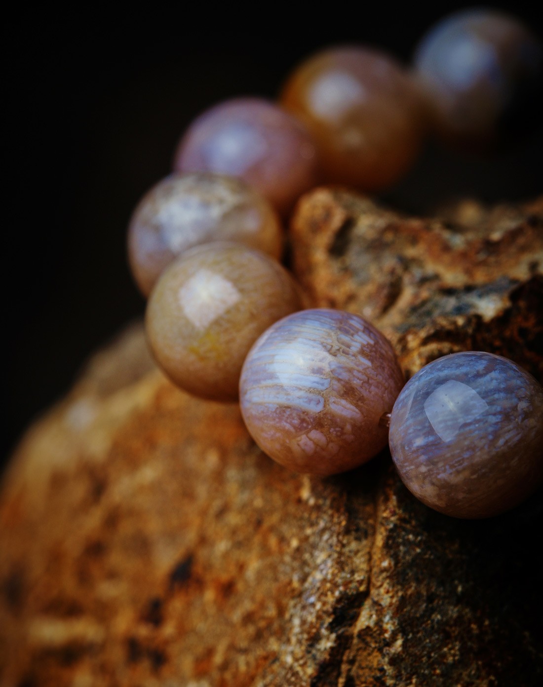 东努沙登加拉岛深海玉化珊瑚玉手串12mm(d款)