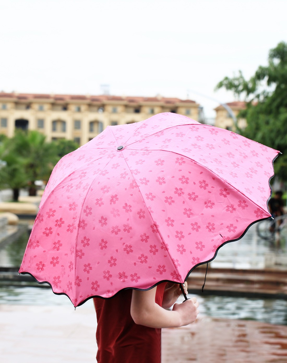 玫红色创意晴雨两用遇水开花伞