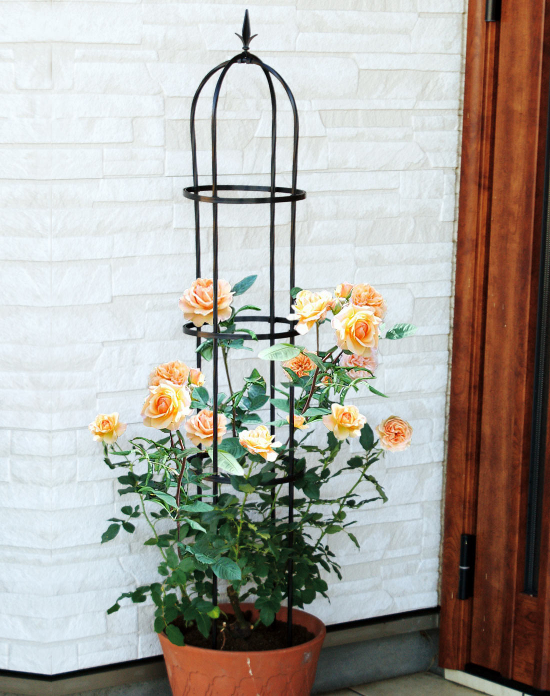 160*31cm美式风情弧形四角连结式玫瑰花架