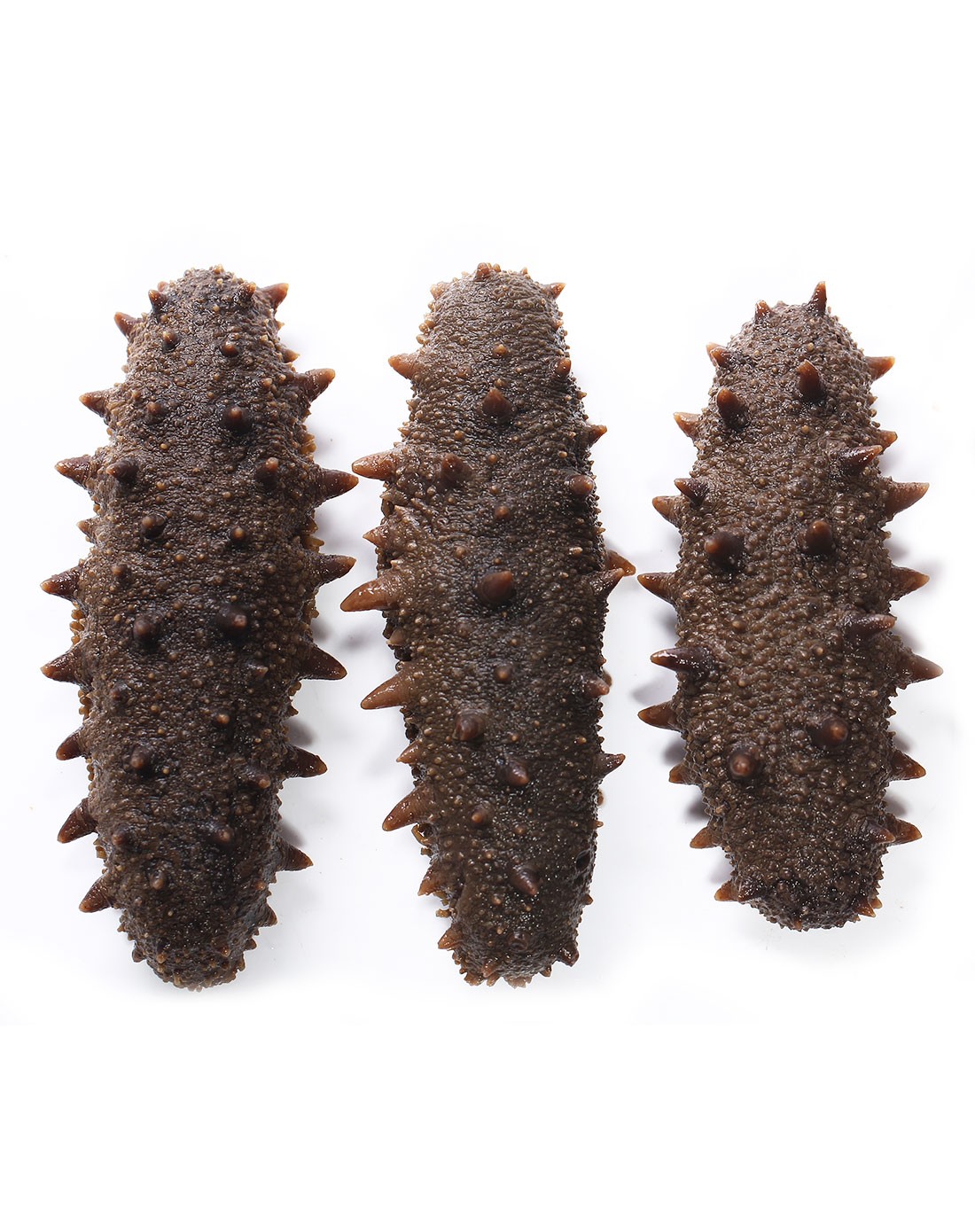 参王系列7年以上大海参250g手提皮礼盒 12-15只