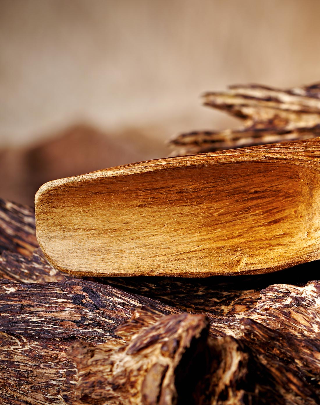 印尼进口.加里曼丹岛林间百年野生稀有天然老料沉香茶勺(b)