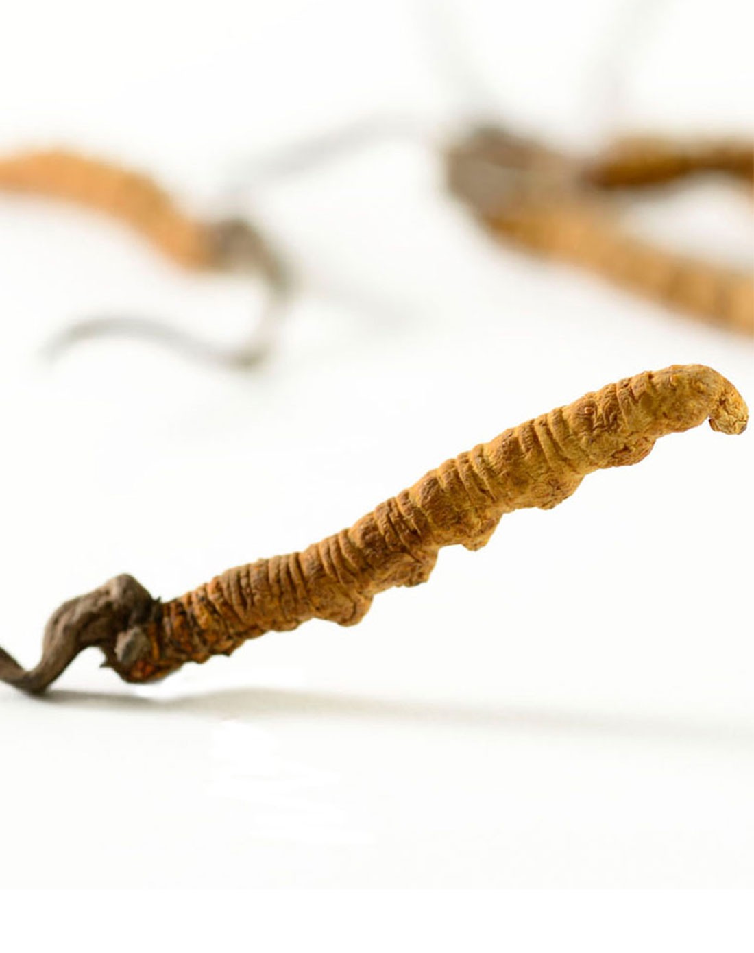 [增强免疫力]位元堂西藏那曲野生冬虫夏草特级精选/8g