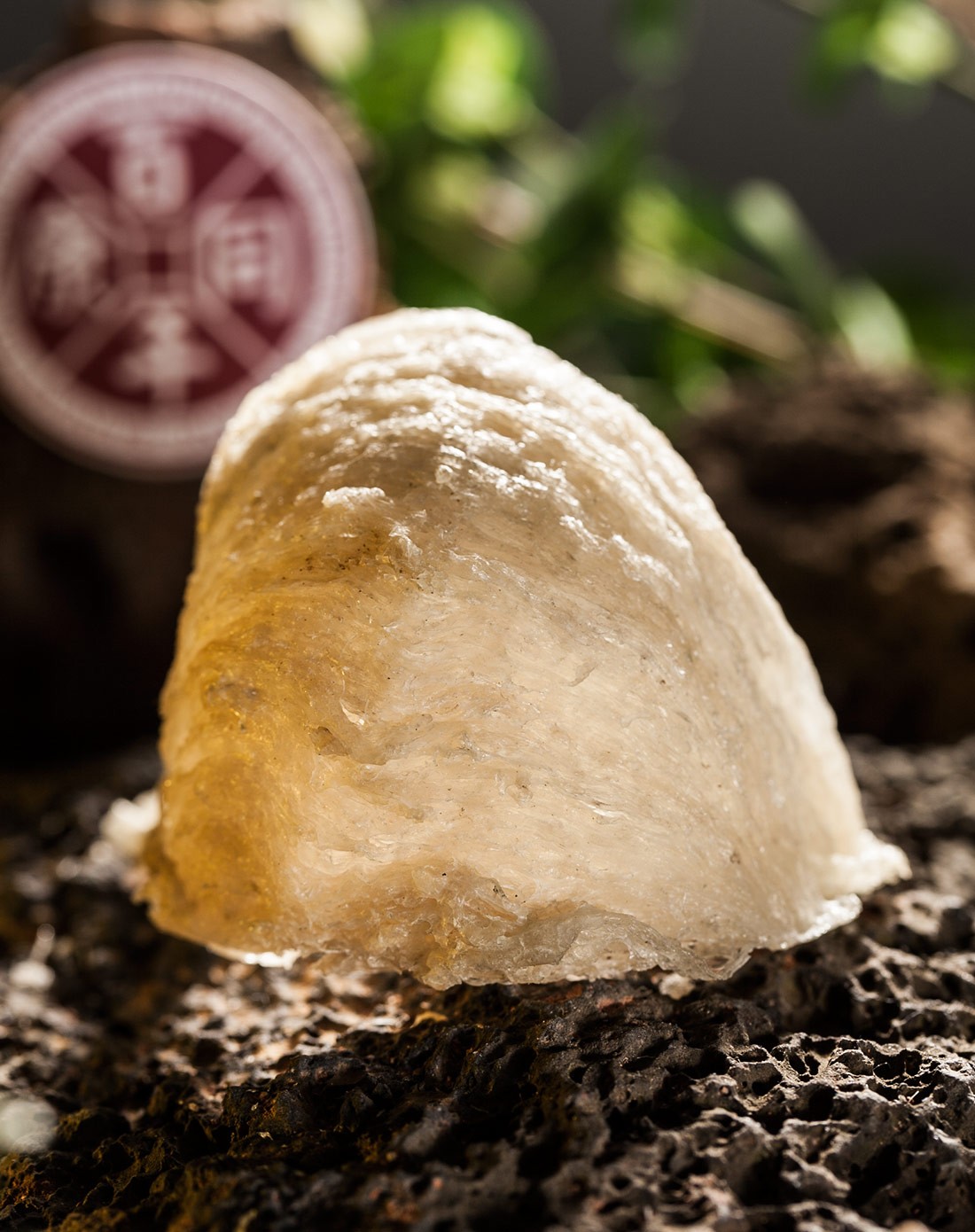 【珍稀藏品】越南会安野生洞燕40g