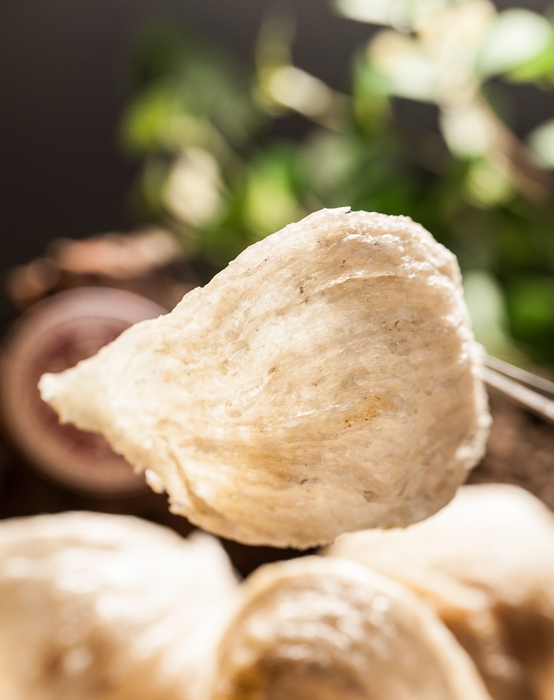 【珍稀藏品】越南会安野生洞燕40g