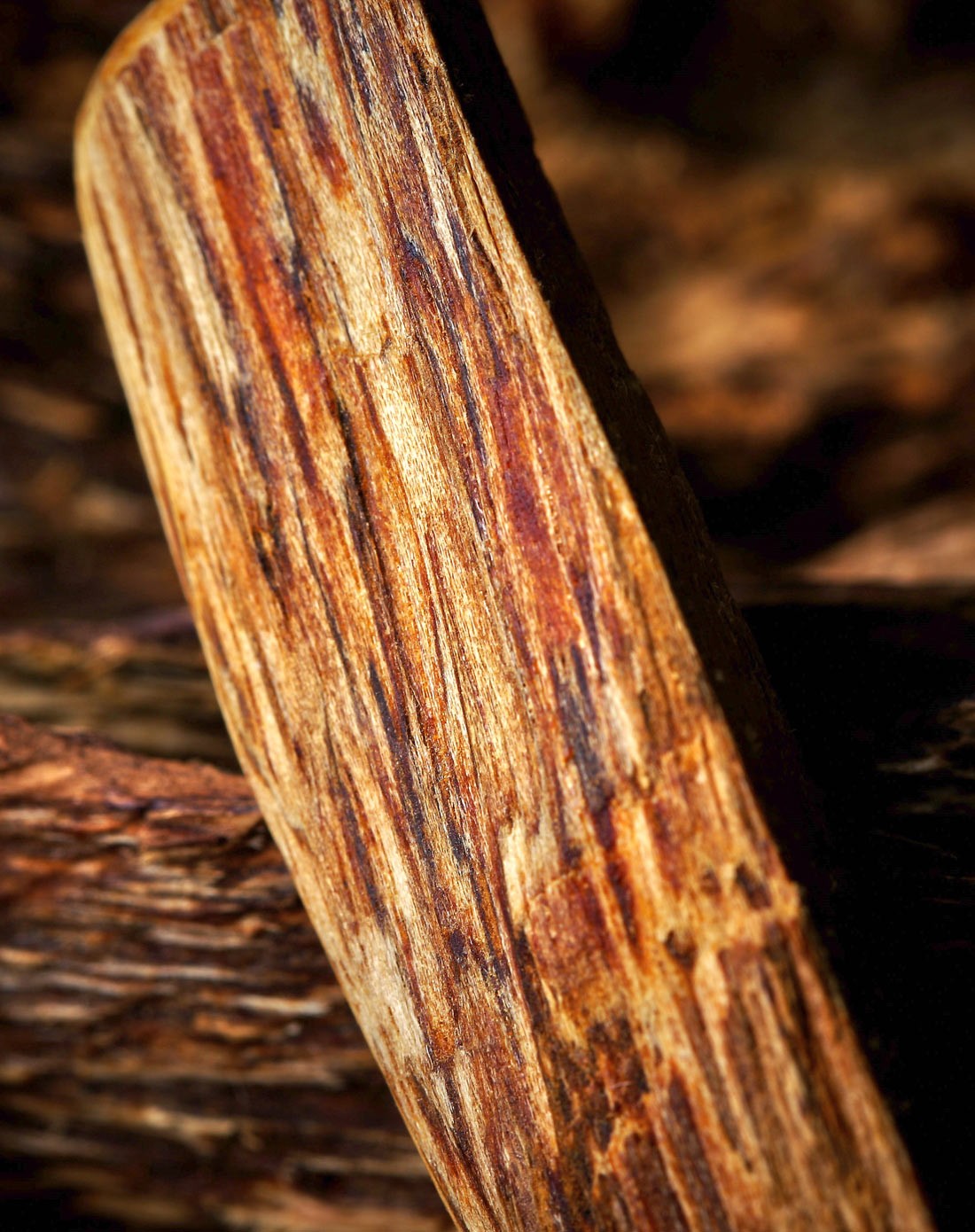伊利安天然沉香随形原料小吊牌(原味黑油)