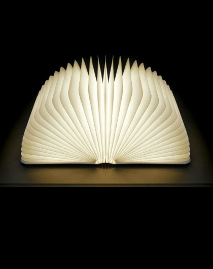 (樱桃木)李荣浩推荐可折叠创意书灯