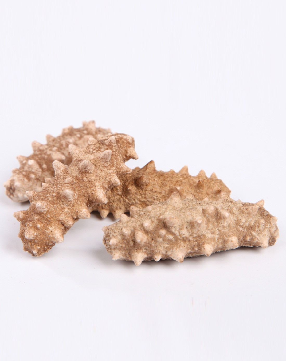 深海礁一级宇航冻干野生海参30g(18-22只)礼盒超值装