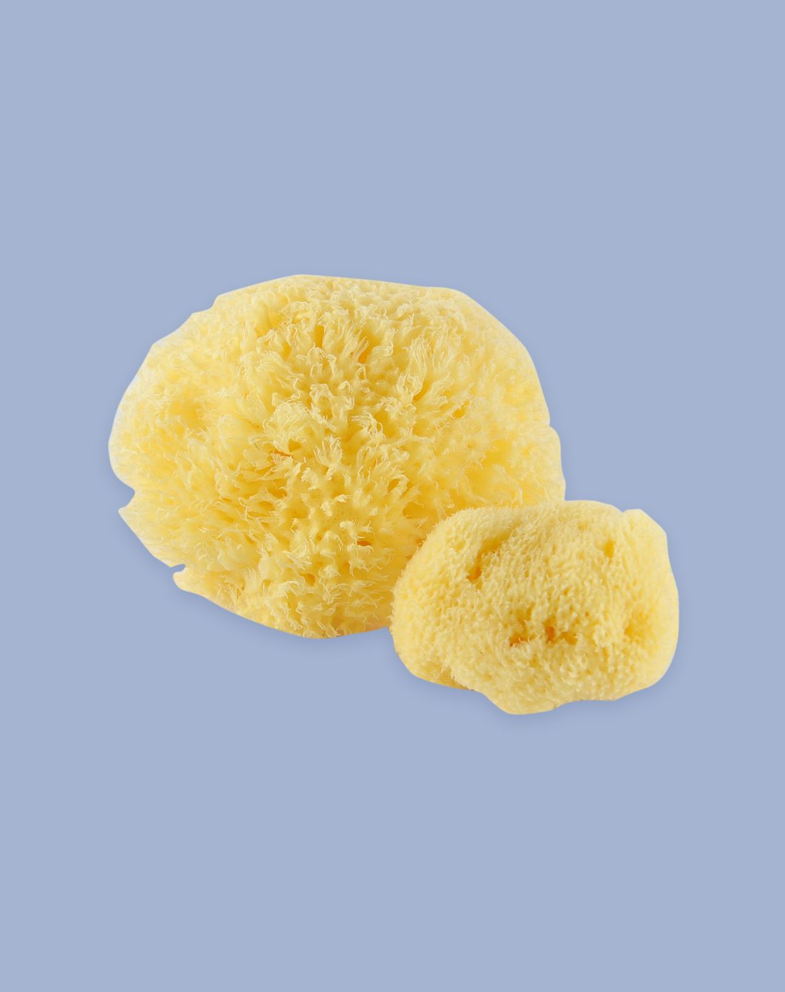 中性黄地中海天然海绵沐浴扑 洗面扑