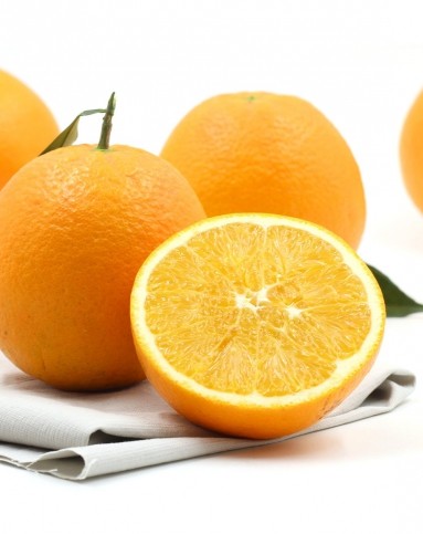 世果汇 南非脐橙12个