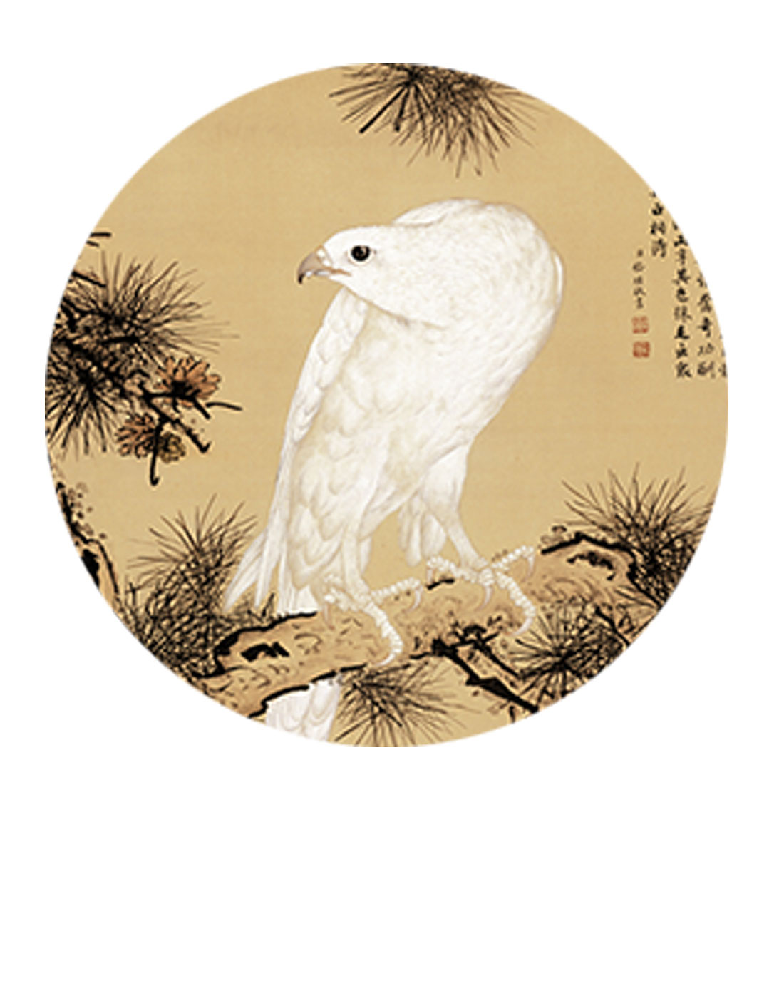 鹰图,最霸气的鹰图片,松鹰图_大山谷图库