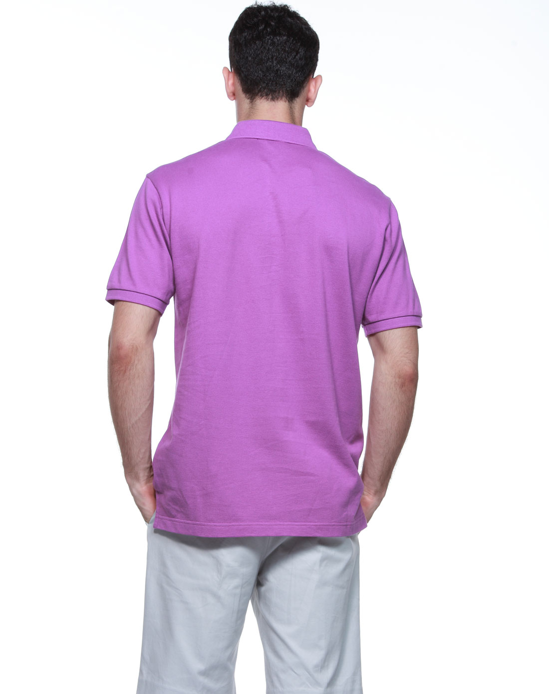 绛紫色大狼头多彩短袖翻领t恤