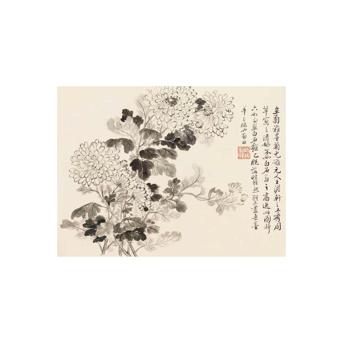 陆抑非课徒稿菊花/中国美术学院名家教学示范作品