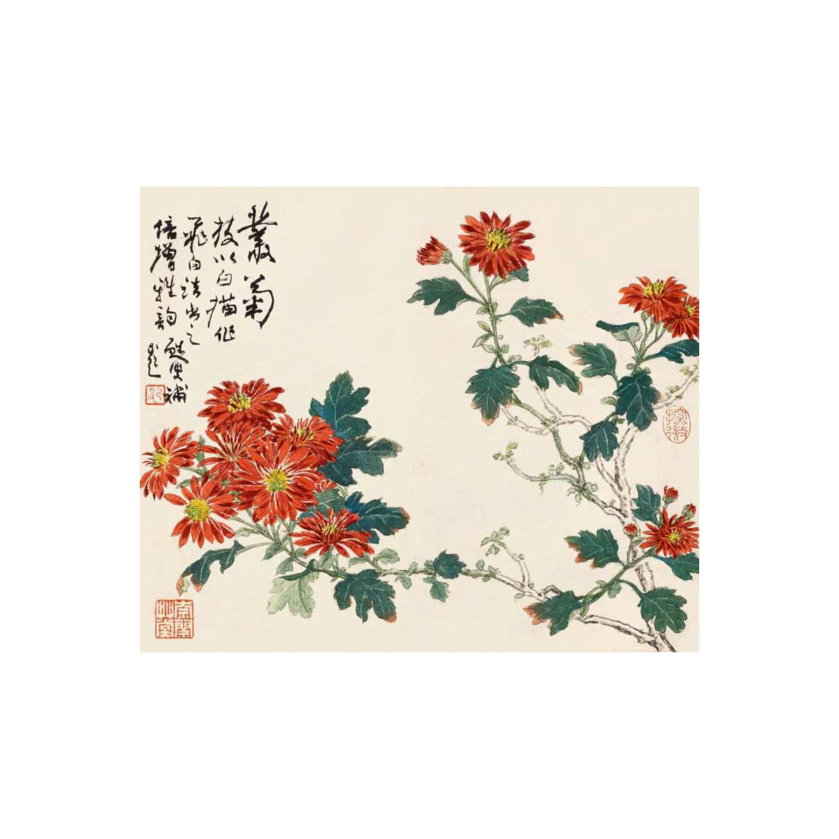 陆抑非课徒稿菊花/中国美术学院名家教学示范作品