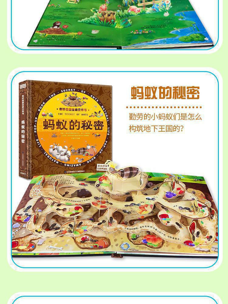 奇妙自然生命立体书-蚂蚁的秘密